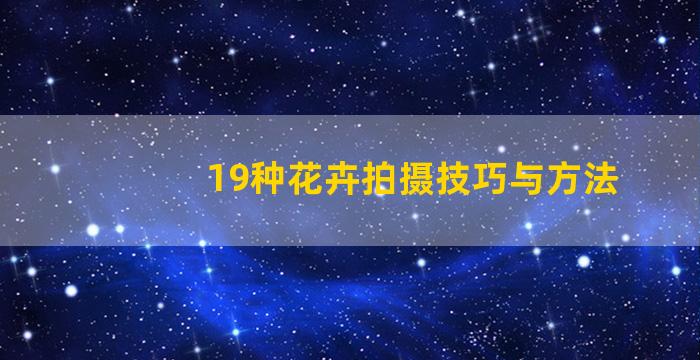 19种花卉拍摄技巧与方法