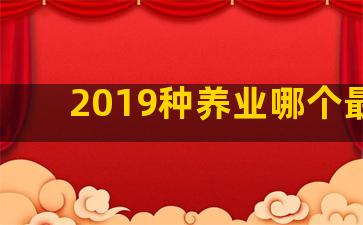 2019种养业哪个最好