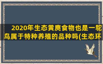 2020年生态黄麂食物也是一鸵鸟属于特种养殖的品种吗(生态环境部发布的2020年)