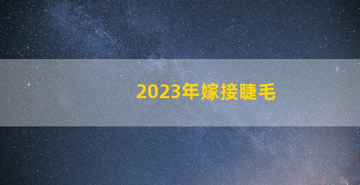 2023年嫁接睫毛