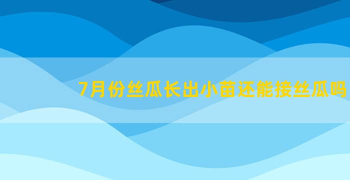 7月份丝瓜长出小苗还能接丝瓜吗