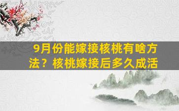 9月份能嫁接核桃有啥方法？核桃嫁接后多久成活