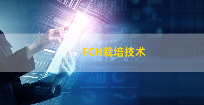 FCH栽培技术