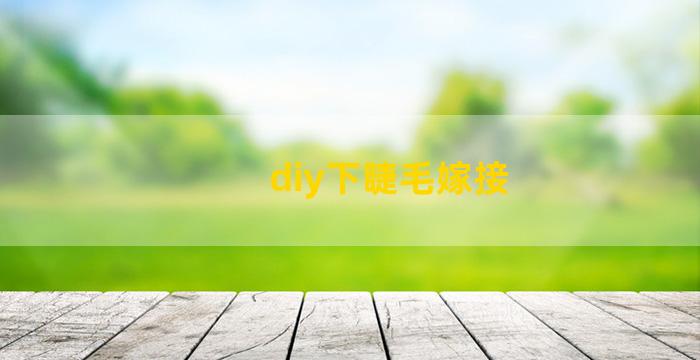 diy下睫毛嫁接