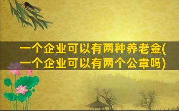 一个企业可以有两种养老金(一个企业可以有两个公章吗)