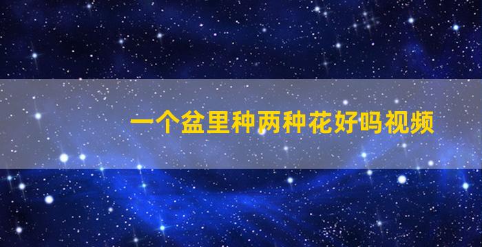 一个盆里种两种花好吗视频