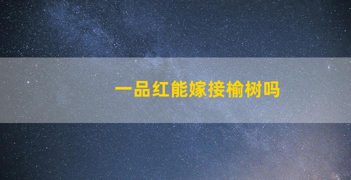 一品红能嫁接榆树吗