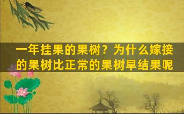 一年挂果的果树？为什么嫁接的果树比正常的果树早结果呢