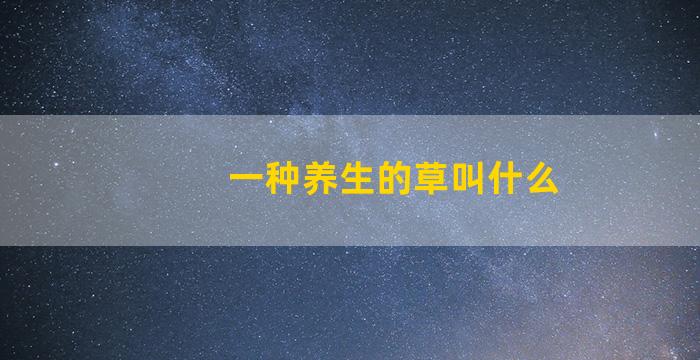 一种养生的草叫什么