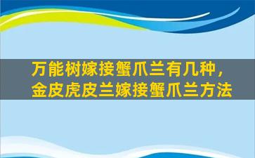 万能树嫁接蟹爪兰有几种，金皮虎皮兰嫁接蟹爪兰方法