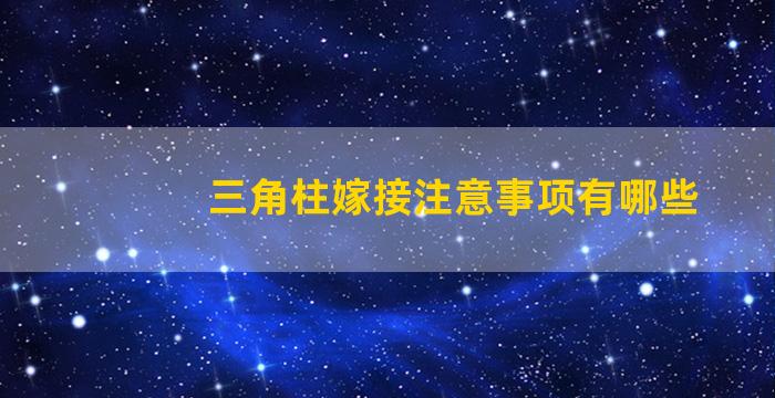 三角柱嫁接注意事项有哪些