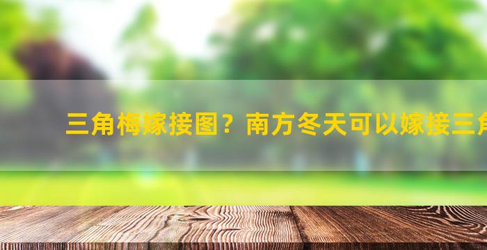 三角梅嫁接图？南方冬天可以嫁接三角梅吗