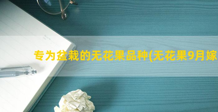 专为盆栽的无花果品种(无花果9月嫁接法)