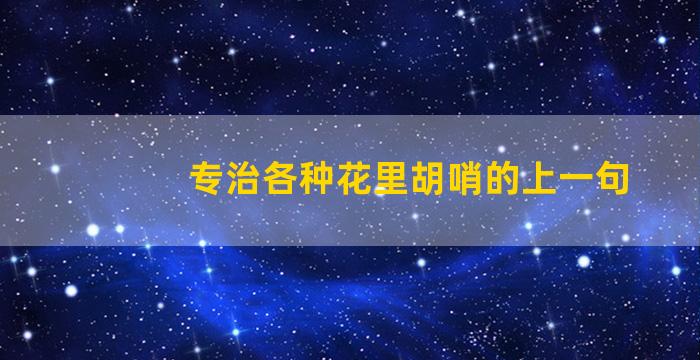 专治各种花里胡哨的上一句