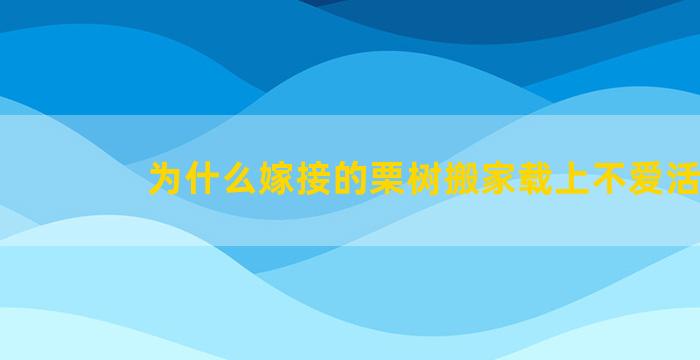 为什么嫁接的栗树搬家载上不爱活