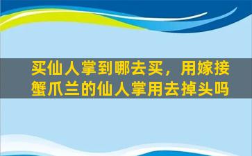 买仙人掌到哪去买，用嫁接蟹爪兰的仙人掌用去掉头吗