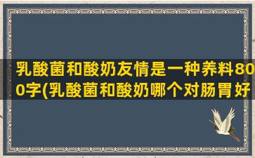 乳酸菌和酸奶友情是一种养料800字(乳酸菌和酸奶哪个对肠胃好)