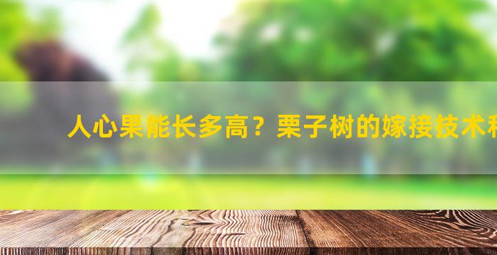 人心果能长多高？栗子树的嫁接技术和时间