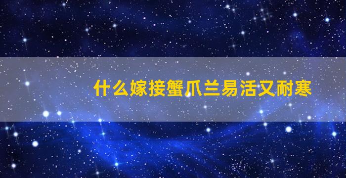 什么嫁接蟹爪兰易活又耐寒