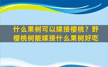 什么果树可以嫁接樱桃？野樱桃树能嫁接什么果树好吃