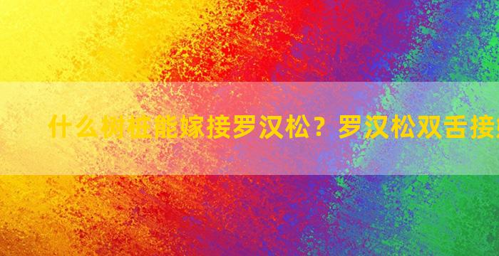 什么树桩能嫁接罗汉松？罗汉松双舌接嫁接方法