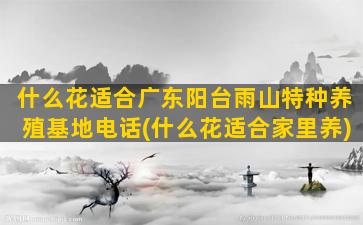 什么花适合广东阳台雨山特种养殖基地电话(什么花适合家里养)