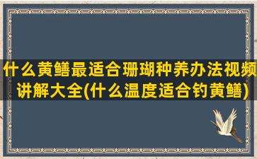 什么黄鳝最适合珊瑚种养办法视频讲解大全(什么温度适合钓黄鳝)