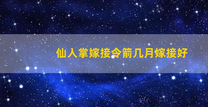 仙人掌嫁接令箭几月嫁接好