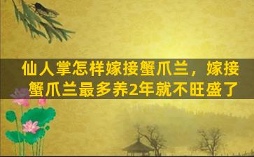 仙人掌怎样嫁接蟹爪兰，嫁接蟹爪兰最多养2年就不旺盛了