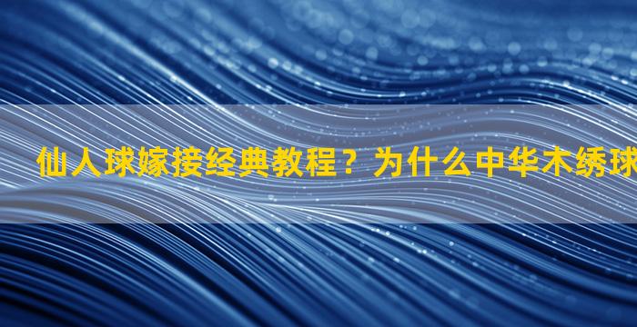 仙人球嫁接经典教程？为什么中华木绣球斗球繁殖难