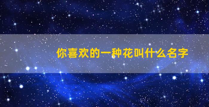 你喜欢的一种花叫什么名字