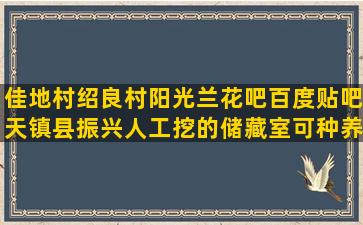 佳地村绍良村阳光兰花吧百度贴吧天镇县振兴人工挖的储藏室可种养什么