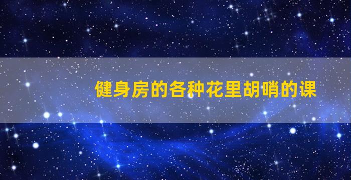 健身房的各种花里胡哨的课