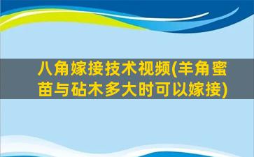 八角嫁接技术视频(羊角蜜苗与砧木多大时可以嫁接)