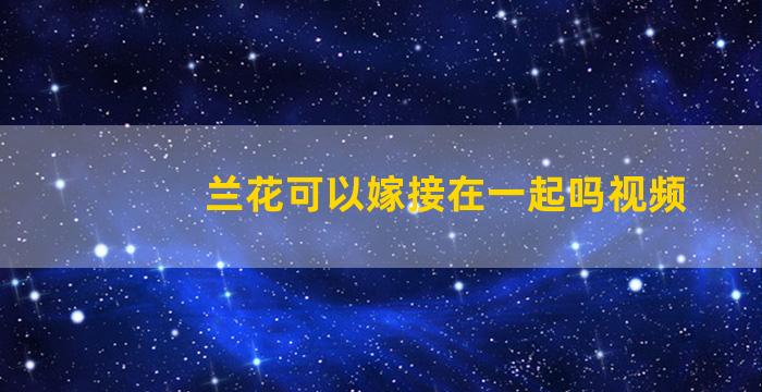 兰花可以嫁接在一起吗视频