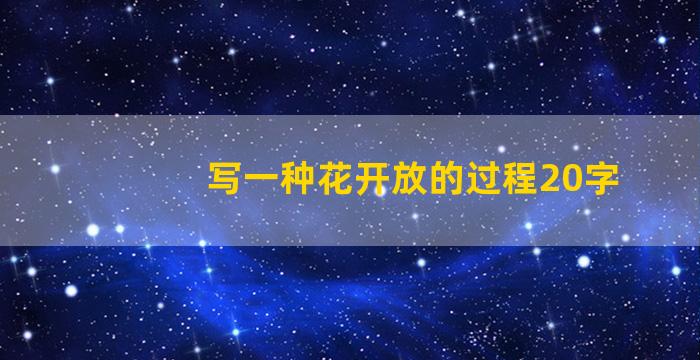 写一种花开放的过程20字