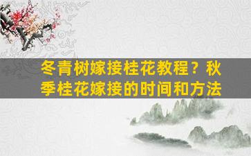 冬青树嫁接桂花教程？秋季桂花嫁接的时间和方法