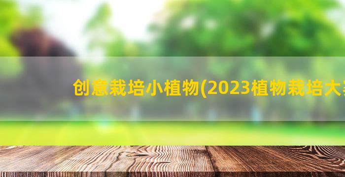 创意栽培小植物(2023植物栽培大赛)