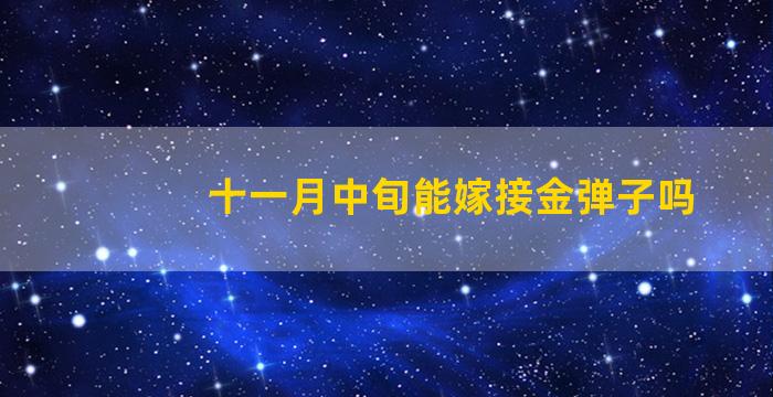 十一月中旬能嫁接金弹子吗