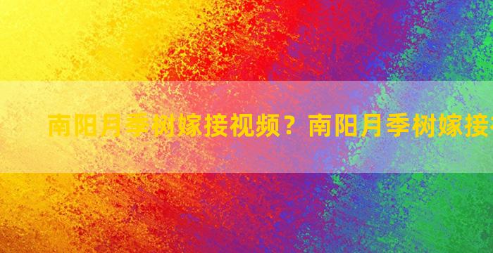 南阳月季树嫁接视频？南阳月季树嫁接视频讲解