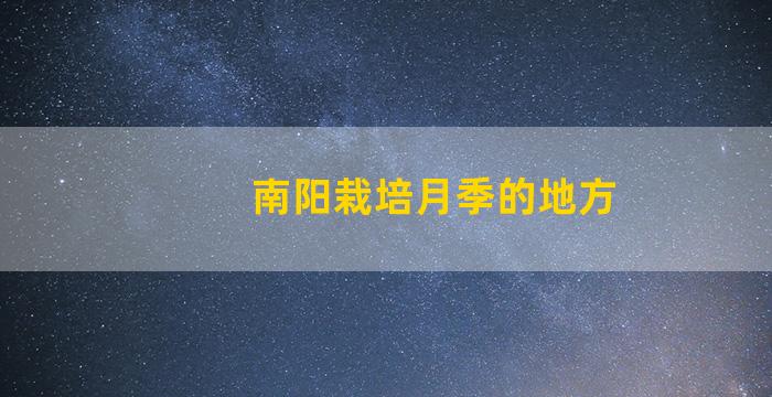 南阳栽培月季的地方