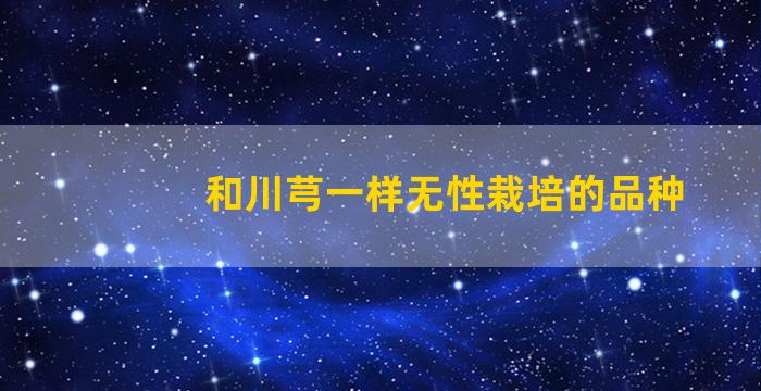 和川芎一样无性栽培的品种