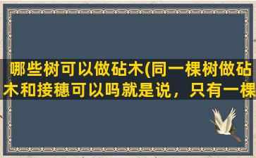 哪些树可以做砧木(同一棵树做砧木和接穗可以吗就是说，只有一棵种子，而种子发芽后长成了小树苗，我直接剪断，就用这剪断)