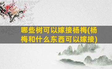 哪些树可以嫁接杨梅(杨梅和什么东西可以嫁接)