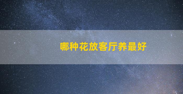 哪种花放客厅养最好