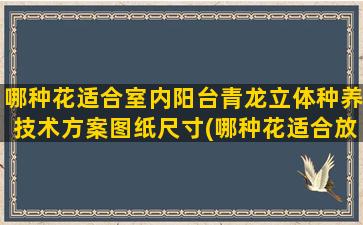 哪种花适合室内阳台青龙立体种养技术方案图纸尺寸(哪种花适合放在室内)