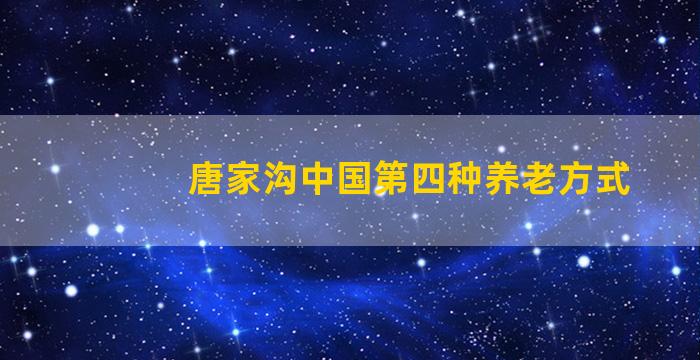 唐家沟中国第四种养老方式