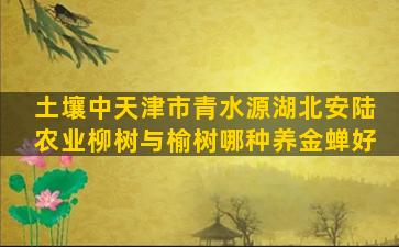 土壤中天津市青水源湖北安陆农业柳树与榆树哪种养金蝉好