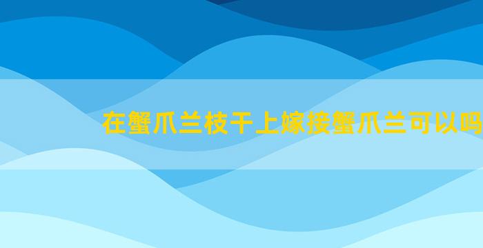 在蟹爪兰枝干上嫁接蟹爪兰可以吗