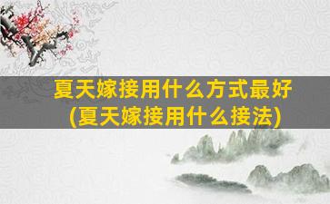 夏天嫁接用什么方式最好(夏天嫁接用什么接法)